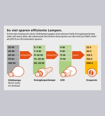 LUMICA Evoline Port 1 silberfarbig, mit schweizer Steckdosen