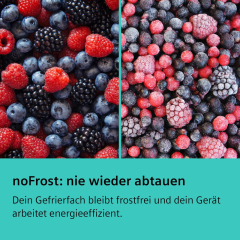 Siemens Set KA95NAIEP aus Eintr-Khlschrank und Eintr-Gefrierschrank inkl. Verbindungsleiste, KS36VAIDP + GS36NAIEP, Gebrsteter Stahl AntiFingerprint, EEK: D/E, mit 5 Jahren Garantie!
