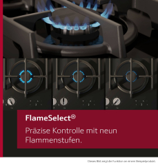 Neff T27CIS8N0, N 70, Autarkes Gaskochfeld, Edelstahl 75cm, mit 5 Jahren Garantie!