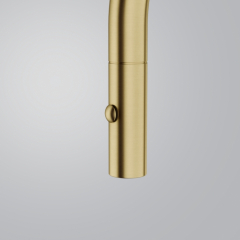 Franke Pescara J Einhebelmischer, Hochdruck Zugauslauf, Edelstahl massiv, PVD Gold, 115.0741.697