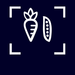 Siemens KI81RADD0, iQ500, Einbau-Khlschrank, 177.2 x 55,8 cm, Flachscharnier mit Softeinzug, EEK: D, mit 5 Jahren Garantie!