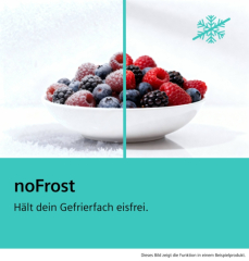 Siemens GS58NDWDP, iQ500, Freistehender Gefrierschrank, 191 x 70 cm, Wei��, EEK: D, mit 5 Jahren Garantie!