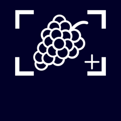 Siemens KG36NVWCG, iQ300, Freistehende K�hl-Gefrier-Kombination mit Gefrierbereich unten, 186 x 60 cm, Wei�, Total noFrost, EEK: C, mit 5 Jahren Garantie!